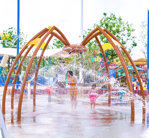 水蜘蛛